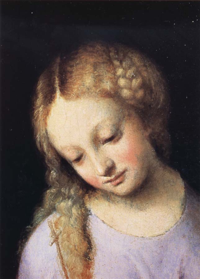 Correggio Details of Madonna and Child with the Young Saint John