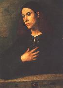 Giorgione Portrait of a Youth (Antonio Broccardo) dsdg USA oil painting reproduction