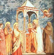 Giotto Scenes from the Life of the Virgin