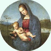 Raphael Conestabile Madonna Sweden oil painting reproduction