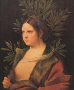 Giorgione, Laura (MK45)