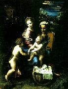 Raphael, holy family with st john the baptist