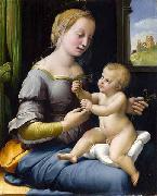Raphael, Madonna dei garofani
