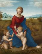 Raphael Madonna of the Meadows (mk08) Norge oil painting reproduction