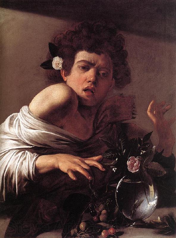 Caravaggio Boy Bitten by a Lizard f Spain oil painting art
