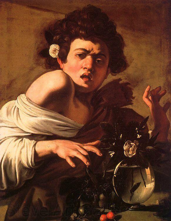 Caravaggio Youth Bitten by a Green Lizard Spain oil painting art