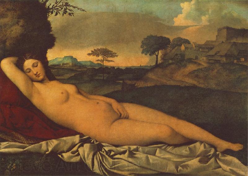 Giorgione Sleeping Venus dhh Norge oil painting art