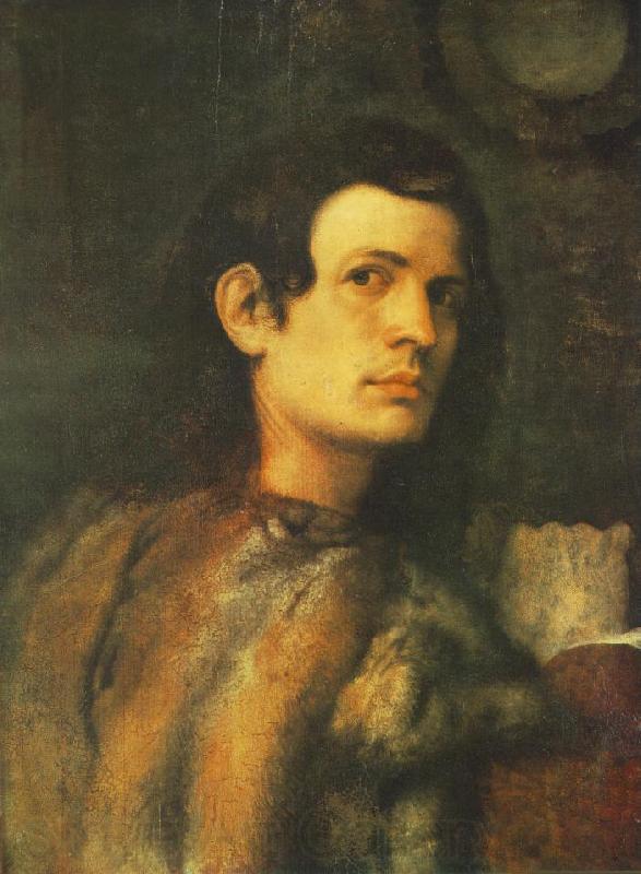 Giorgione Portrait of a Young Man dh Spain oil painting art