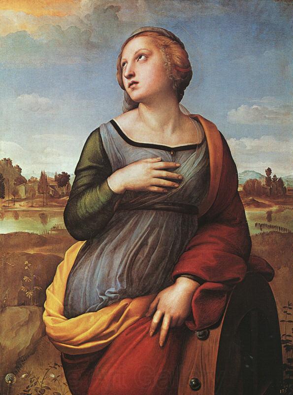 Raphael St.Catherine of Alexandria Spain oil painting art