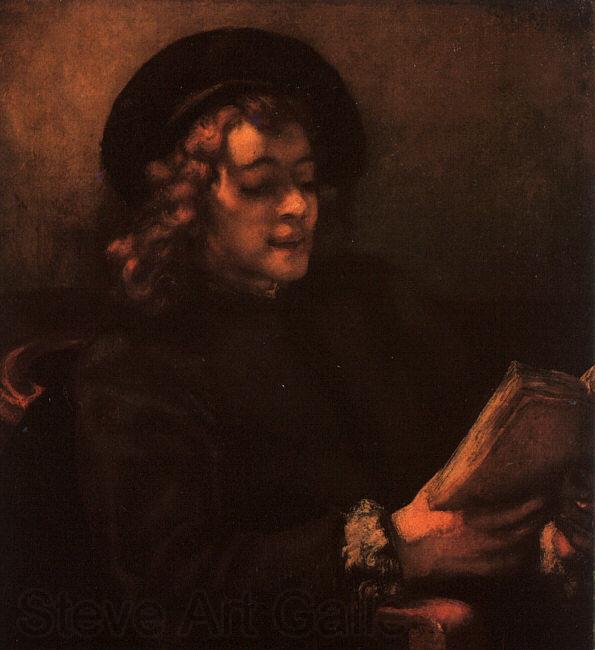 Rembrandt Portrait of Titus Norge oil painting art