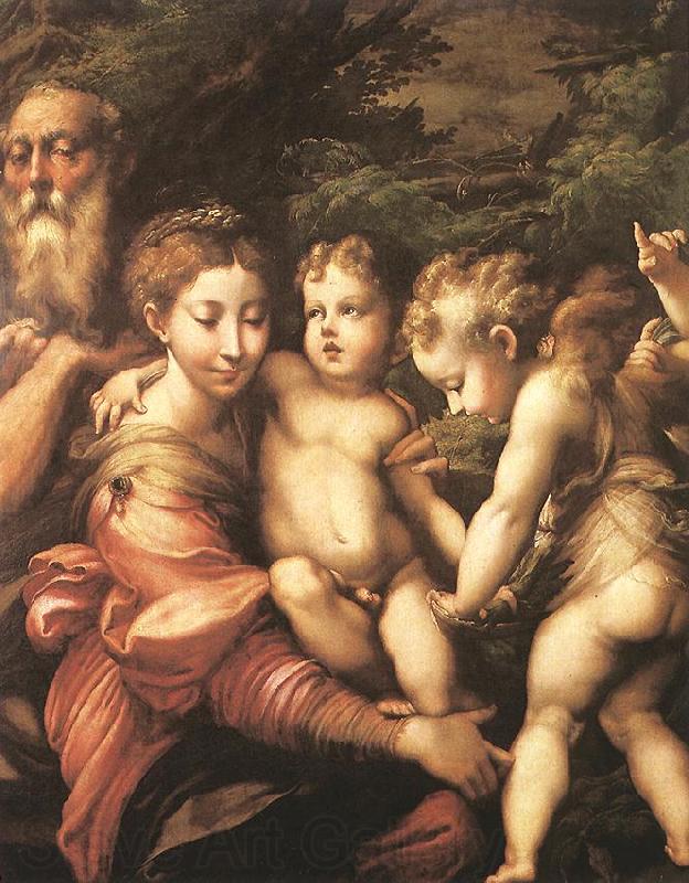 PARMIGIANINO Rest on the Flight to Egypt ag Spain oil painting art