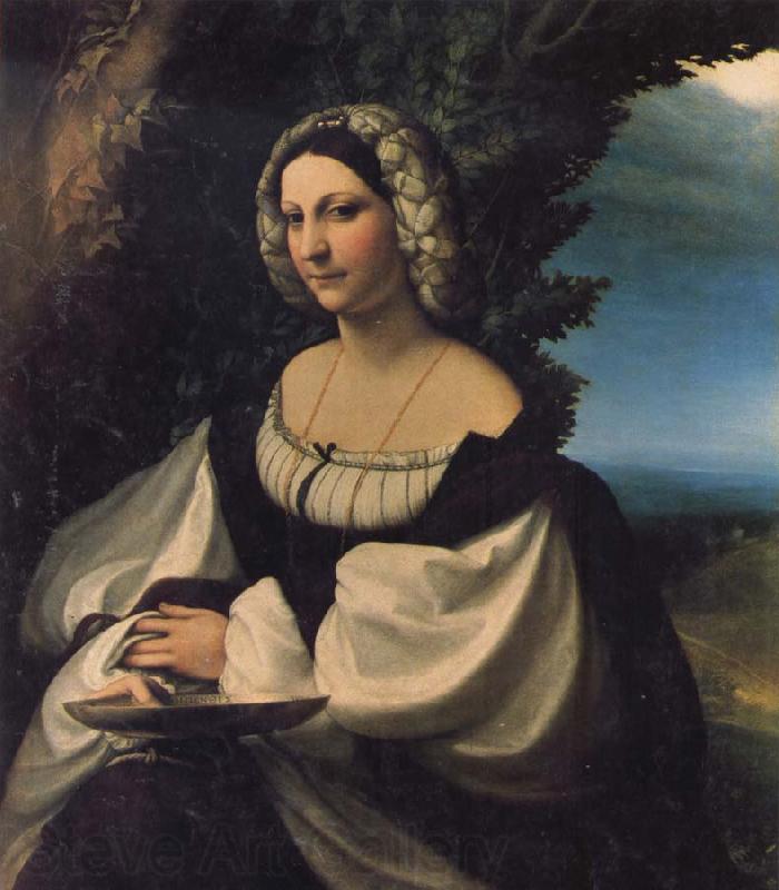Correggio Portrait of a Lady Norge oil painting art