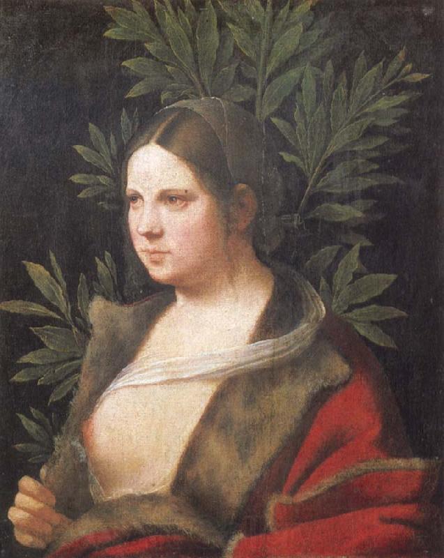 Giorgione Portrait of a young woman Spain oil painting art