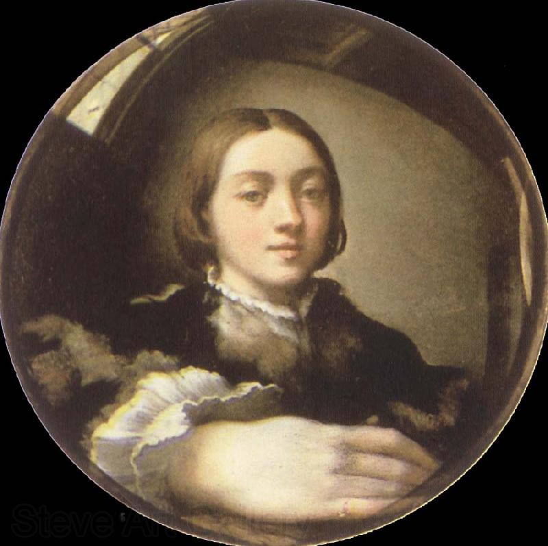PARMIGIANINO Self-Portrait in a Convex Mirror Norge oil painting art