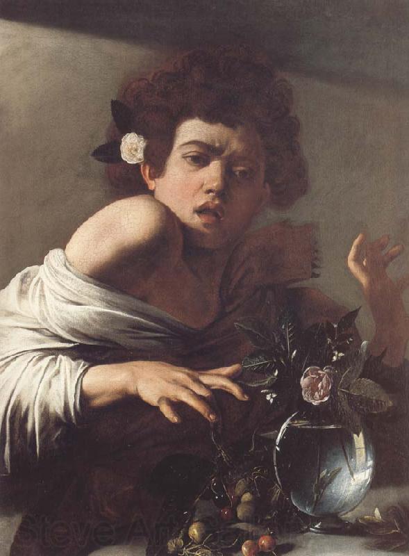Caravaggio Boy Bitten by a Lizard France oil painting art
