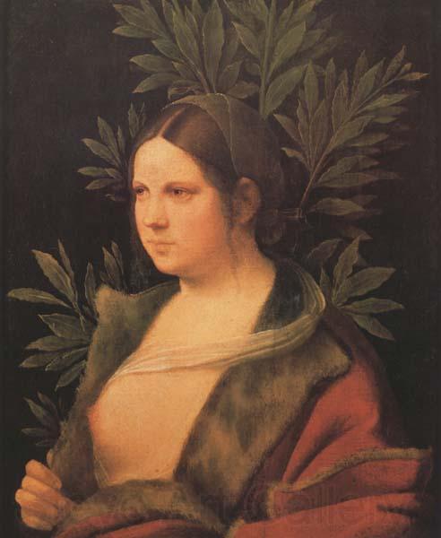 Giorgione Laura (MK45)