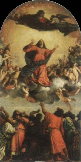 Titian assumption of the virgin Norge oil painting art