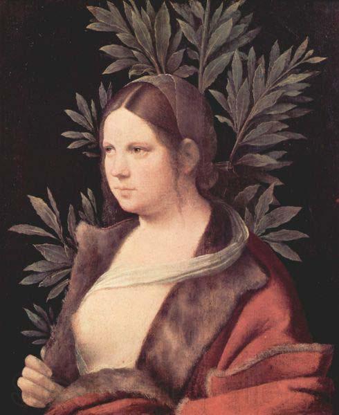 Giorgione Laura Kunsthistorisches Museum, Vienna Germany oil painting art