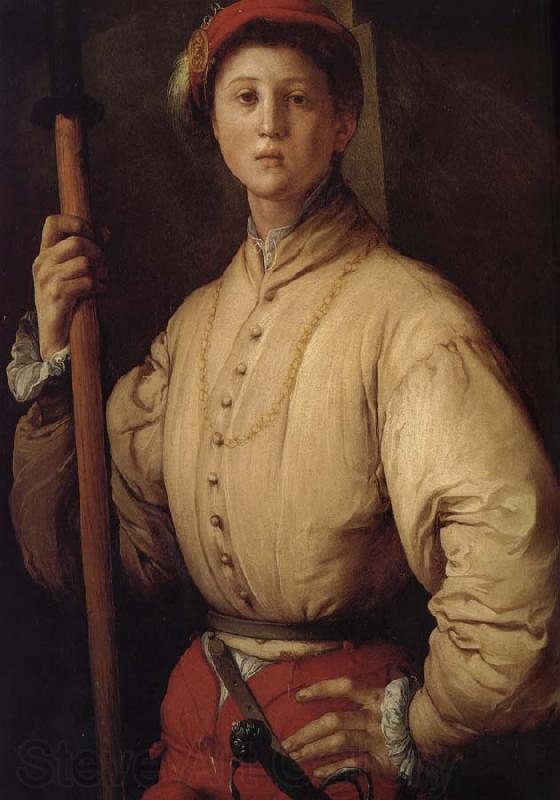 Pontormo Cosimo de Medici Norge oil painting art