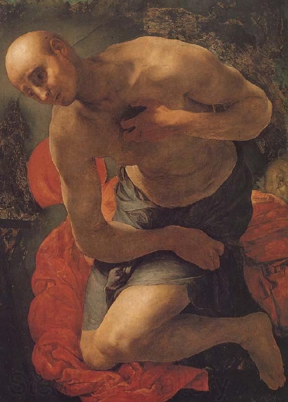 Pontormo St. Jerome Germany oil painting art