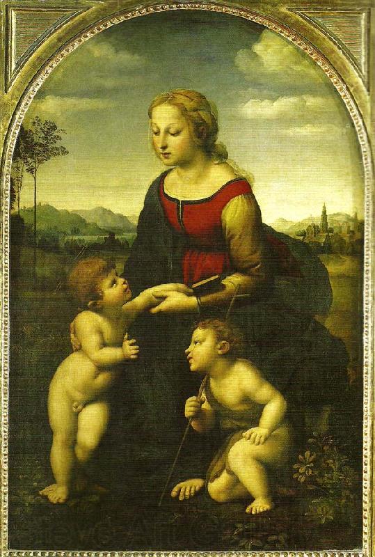 Raphael virgin and child wild st. Spain oil painting art