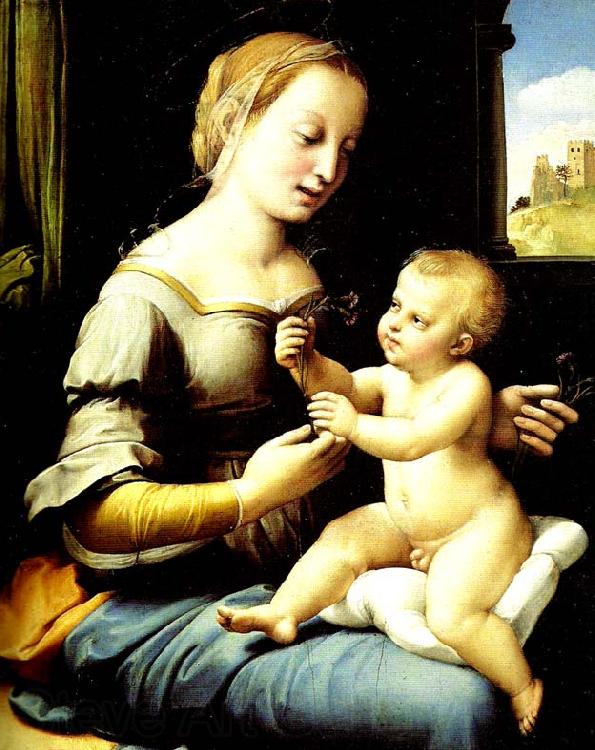 Raphael madonna of the pinks Germany oil painting art