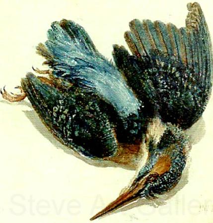 J.M.W.Turner kingfisher France oil painting art