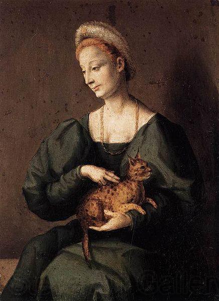 BACCHIACCA Woman with a Cat Germany oil painting art