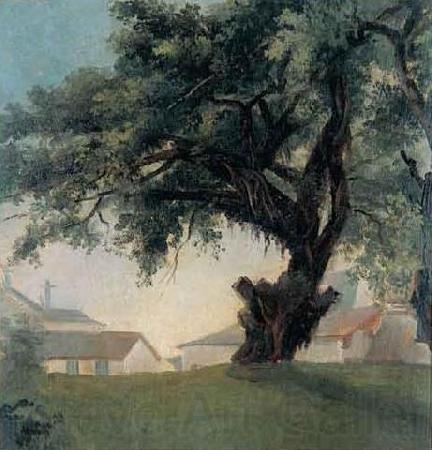 Anonymous Giant tree and barracks Norge oil painting art