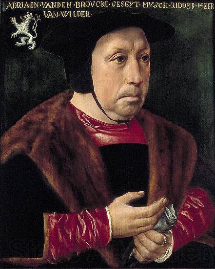Anonymous Portret van Adriaen van den Broucke, genaamd Musch, Heer van Wildert Norge oil painting art
