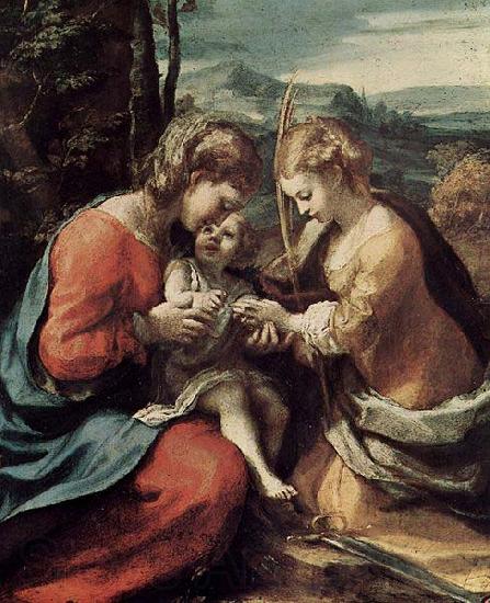 Correggio Die Mystische Hochzeit der Hl. Katharina von Alexandrien Norge oil painting art