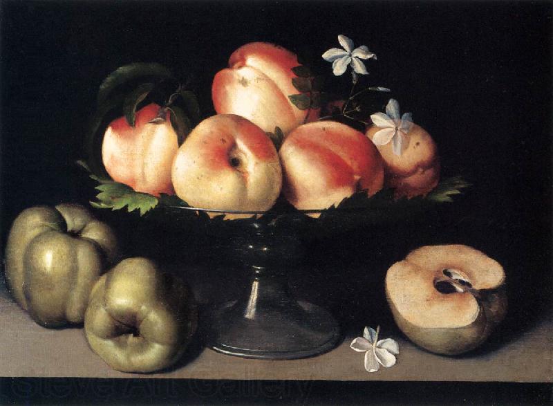 Galizia,Fede Still-Life Norge oil painting art