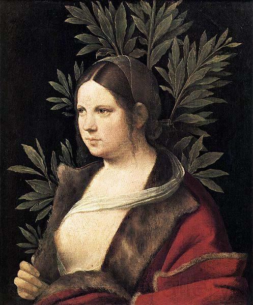Giorgione Portrait of a Young Woman Germany oil painting art
