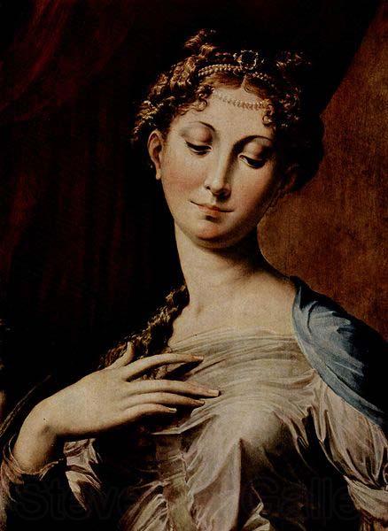 PARMIGIANINO Madonna mit dem langen Hals France oil painting art