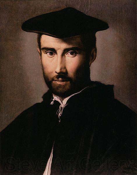 PARMIGIANINO Portrait of a Man France oil painting art