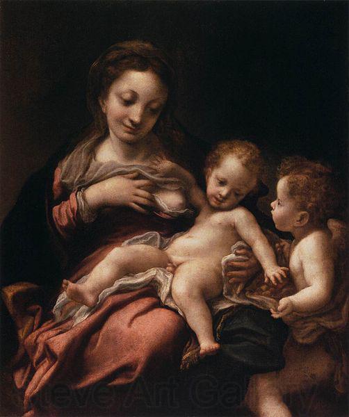 Correggio Virgin and Child with an Angel France oil painting art