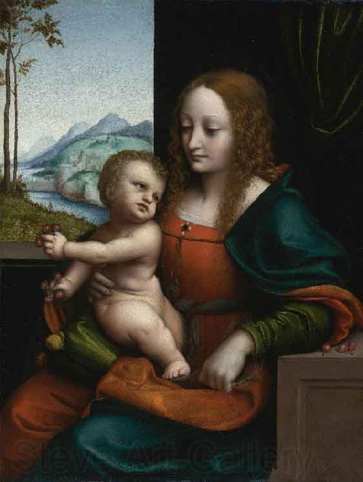 GIAMPIETRINO The Virgin and Child France oil painting art