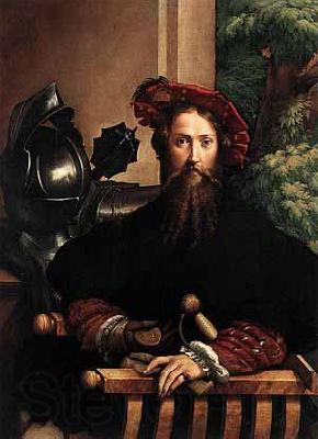 PARMIGIANINO Portrait of Galeazzo Sanvitale France oil painting art