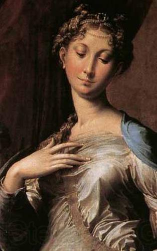PARMIGIANINO Madonna with Long Nec Detail France oil painting art