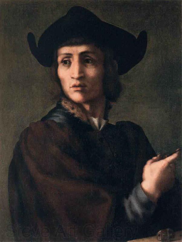 Pontormo Portrait of an Engraver of Semi Precious Stones France oil painting art