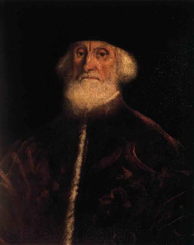 Tintoretto Portrait of Procurator Jacopo Soranzo Germany oil painting art