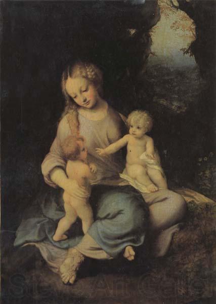 Correggio Madonna and Child Norge oil painting art