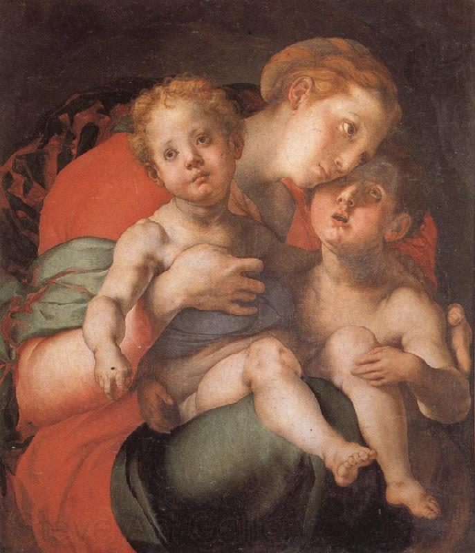 Pontormo Madonna and Child with the Young St.John France oil painting art