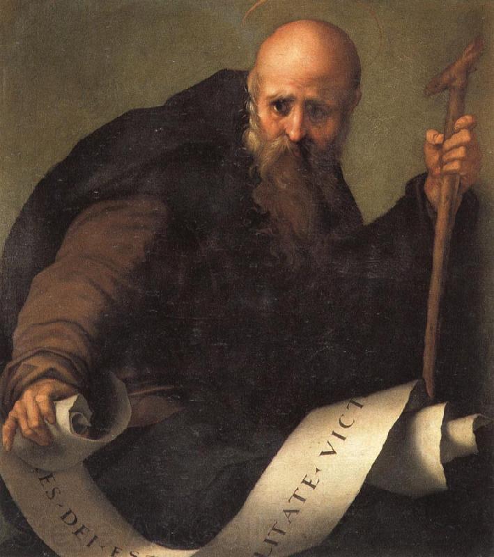 Pontormo St.Anthony Abbot Germany oil painting art
