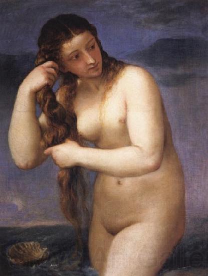 Titian Venus Anadyomenes France oil painting art