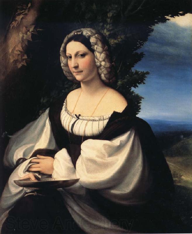 Correggio Portrait of a Gentlewoman Spain oil painting art