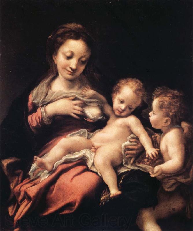 Correggio Madonna del Latte Norge oil painting art