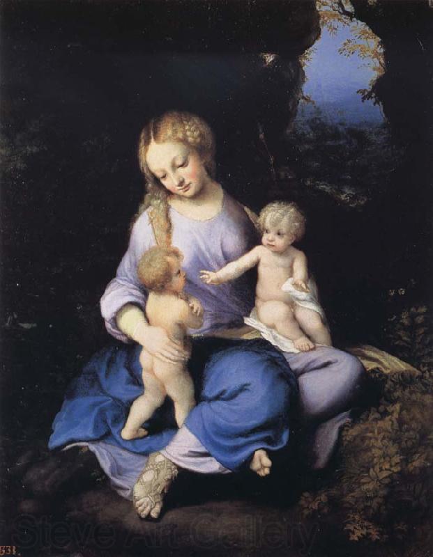 Correggio Madonna and Child with the Young Saint John Spain oil painting art