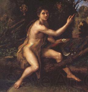 Raphael John the Baptist (mk05) France oil painting art