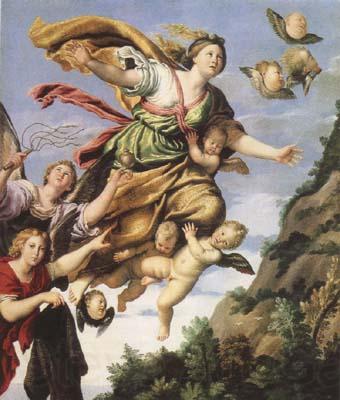 Domenichino The Assumption of Mary Magdalen into Heaven (mk08) Spain oil painting art